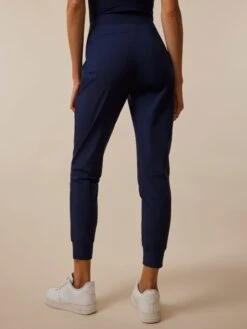 Phoenix Jogger -Greyson Clothiers Shop LSP22B52 418 9390 BACK