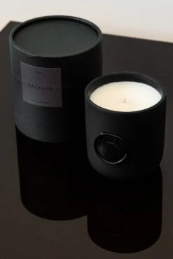 Icon Wolf Wax Seal Fig Candle -Greyson Clothiers Shop MG23A91 001 2