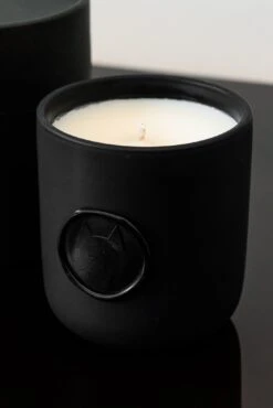 Icon Wolf Wax Seal Fig Candle -Greyson Clothiers Shop MG23A91 001 3