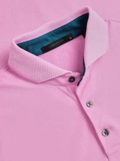 Cherokee Polo -Greyson Clothiers Shop MSP24K14 599 Detail1 1513