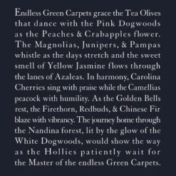 Story Of Augusta Hoodie 11 Story Of Augusta Hoodie -Greyson Clothiers Shop StoryofAugusta Detail