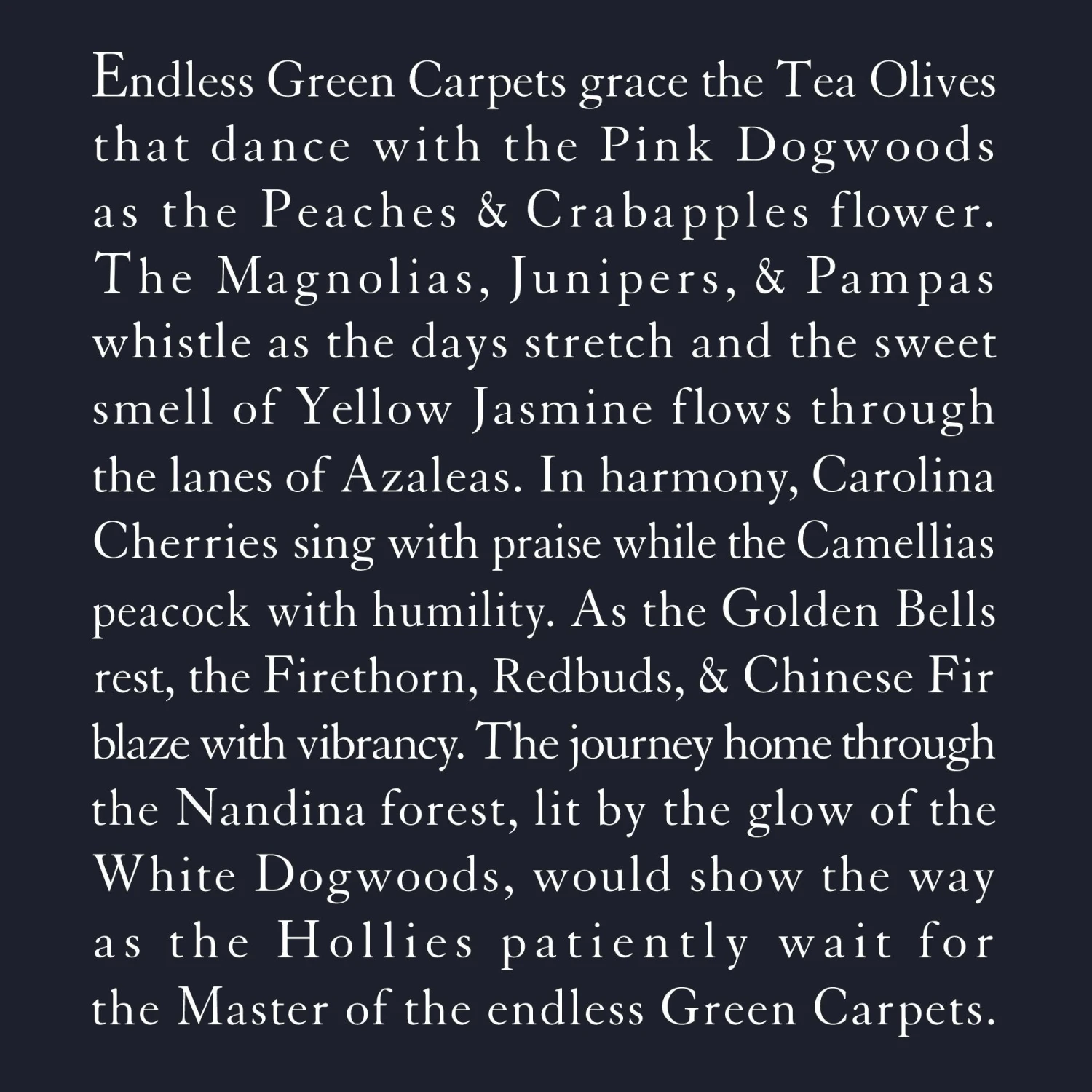 Story Of Augusta Hoodie 6 Story Of Augusta Hoodie - Image 6